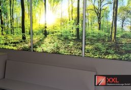 Detailansicht der hinterleuchteten Wandfläche mit Waldmotiv, die dem Wartebereich Tiefe und Ruhe verleiht.