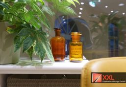 Ein grüner Wohlfühlort: Stilvolle Deko-Elemente, Naturmaterialien und lebendige Pflanzen sorgen für ein harmonisches Ambiente. Die Apotheke im MED Center Crimmitschau setzt nicht nur auf Gesundheit, sondern auch auf ein modernes, angenehmes Umfeld, in dem sich Kundinnen und Kunden rundum wohlfühlen können.