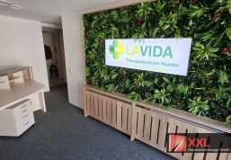 Großzügige Pflanzenwand mit LaVida-Schriftzug über einer maßgefertigten Heizkörperverkleidung aus Eiche.